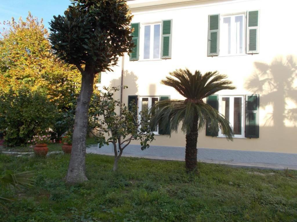 קררה B&B Rossana מראה חיצוני תמונה